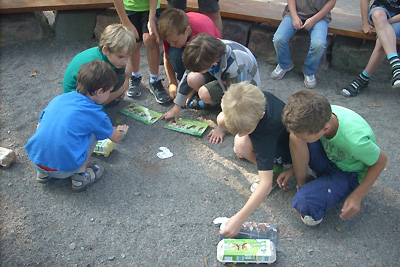 Kinder ordnen verschiedenen Verpackungen von Eiern Bilder und Kurztexte zur Hühnerhaltung zu.